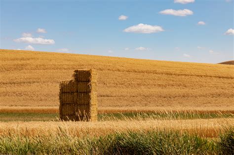 Palouse Summer 2021 on Behance