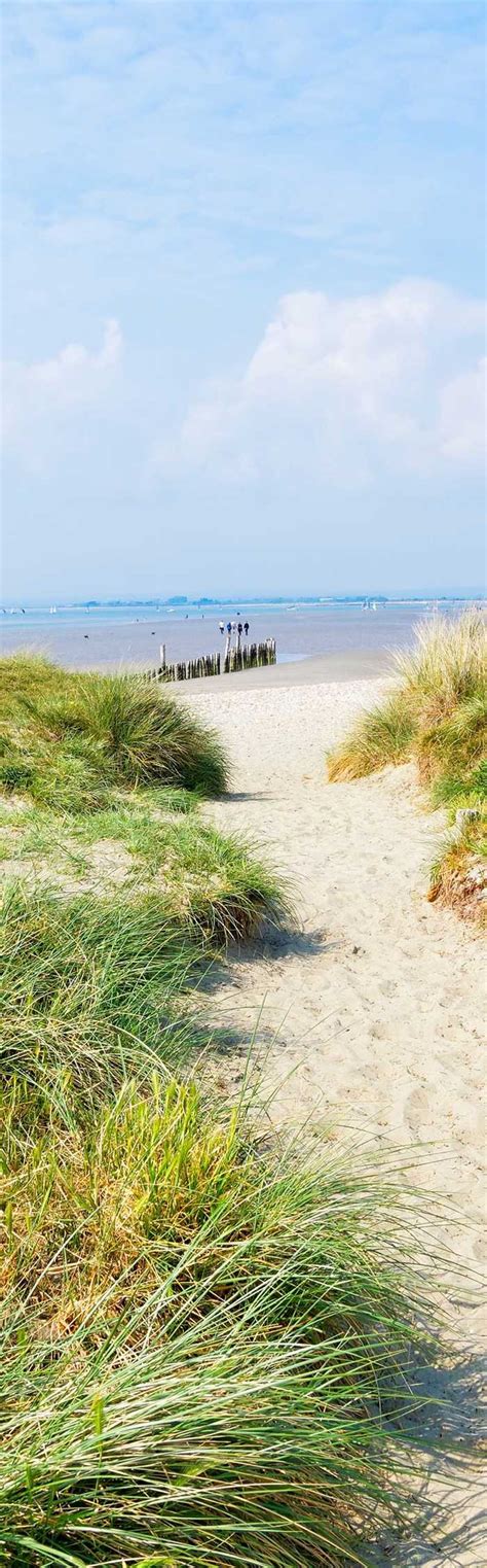 60+ campsites near West Wittering Beach, West Sussex