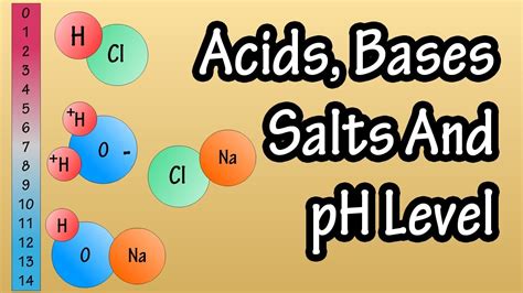 Acids And Bases Salts And pH Level - What Are Acids Bases And Salts - What Is The pH Scale ...