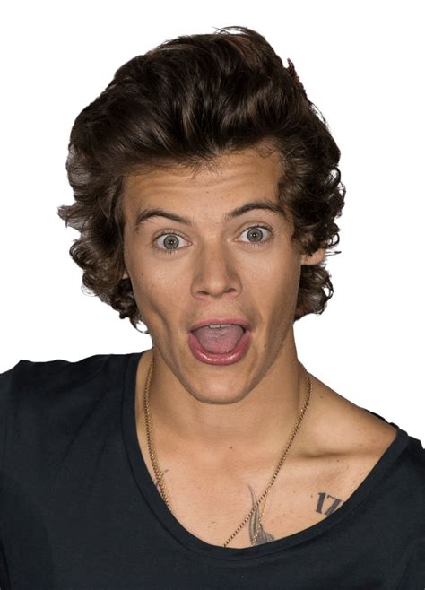 Harry Styles PNG Pic - PNG All | PNG All