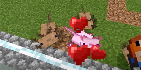 How to Breed Axolotls in Minecraft