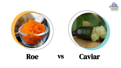 Roe vs. Caviar: Key Differences and Why It Matters