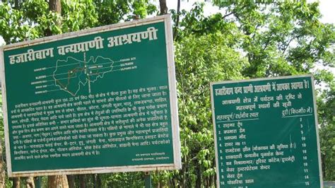 Hazaribagh National Park - Hazaribagh | Hazaribagh National Park Photos ...