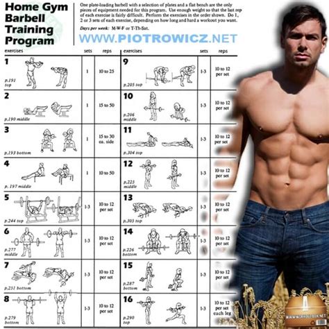 Home Gym Barbell Training Program - Full Body Workout Plan 6Pack ...