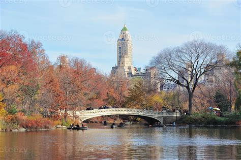 Central Park view 8409239 Stock Photo at Vecteezy