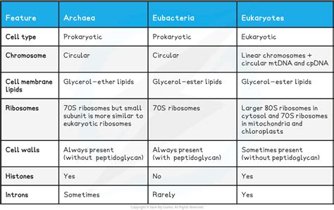 The Three Domains: Archaea, Bacteria Eukarya CIE A Level , 45% OFF