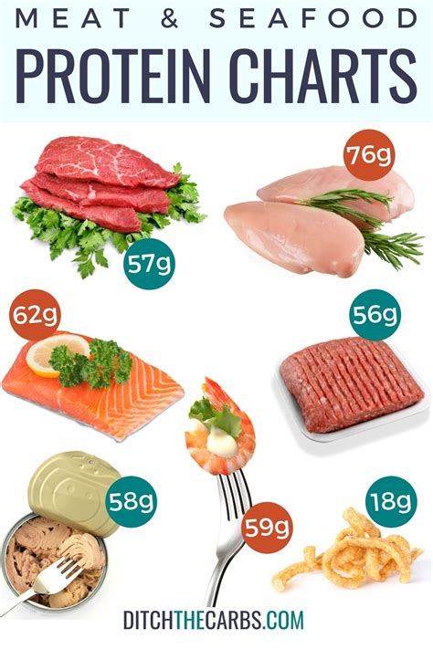 Meat Protein Charts (What Meat Has the Most Protein?) | Protein meats ...