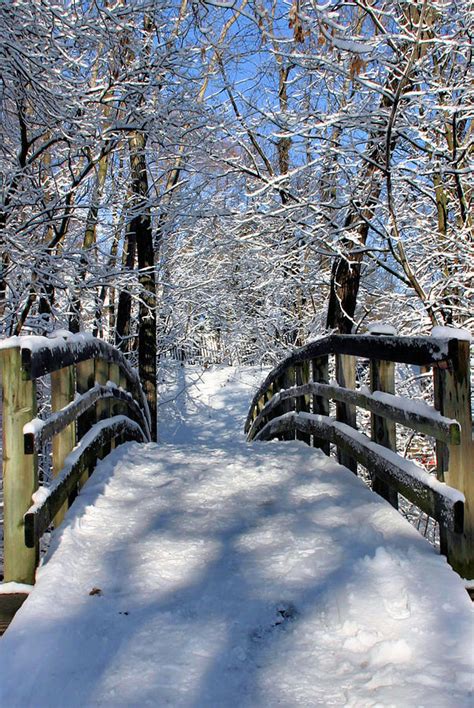 Walking in a Winter Wonderland Photograph by Kristin Elmquist | Fine Art America