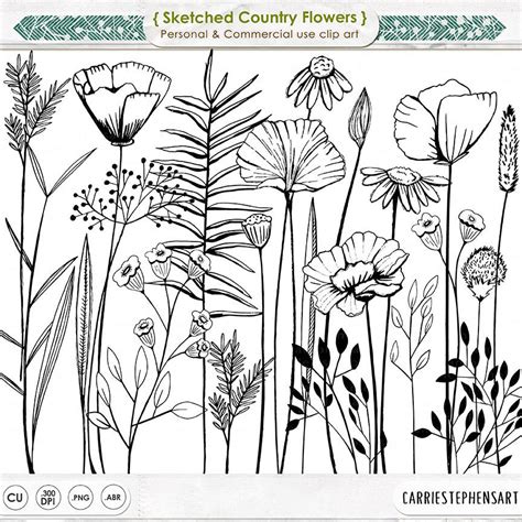 Long Stem Flower Line Art, Sketched Printable Digital Stamp, Spring Garden Floral ClipArt Doodle ...