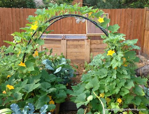 How To Build A Squash Arch For Your Garden | Vegetable garden layout ...