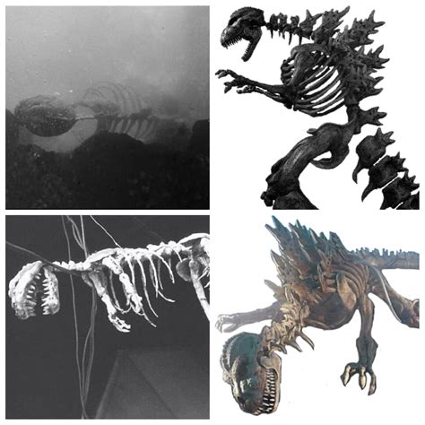 Comparison between the skeleton of Godzilla 1954 and how it was ...