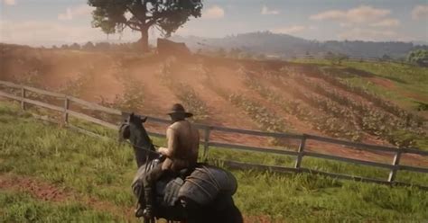 Animal Hunting Perfect Skins Guide: Red Dead Redemption 2