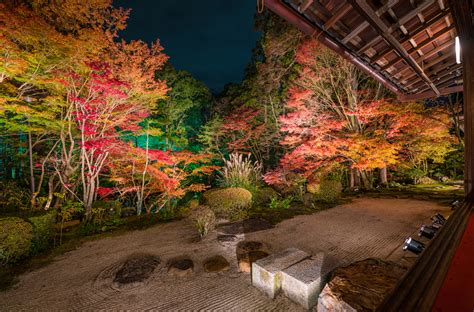 2020 Japan Fall Colors Forecast & Autumn Foliage Viewing Guide - Travel ...