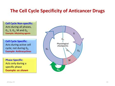 PPT - Cancer Chemotherapy – I PowerPoint Presentation, free download ...