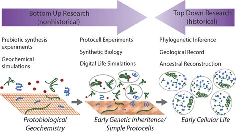 Scientists Outline A New Strategy For Understanding The Origin Of Life - Astrobiology