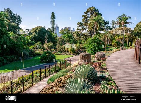 Royal Botanical gardens scenic view in Melbourne Victoria Australia ...