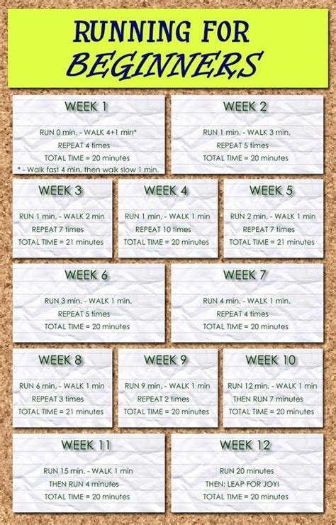 Workout Plan For Obese Beginners