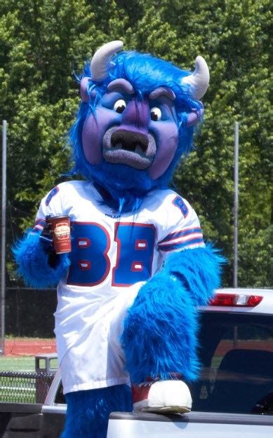 GO BILLS!!! | Nfl buffalo bills, Buffalo bills, Mascot