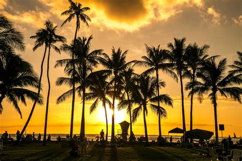 Sunset Views | PRINCE WAIKIKI | Waikiki beach honolulu, Honolulu hotels, Waikiki beach