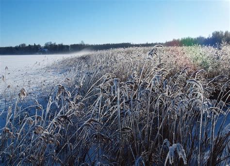 Estonian nature | Flickr