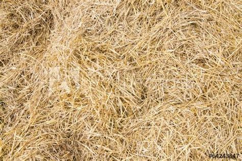 Texture hay closeup in color. Pixel, Image Jpeg, Country Farm, Textured ...