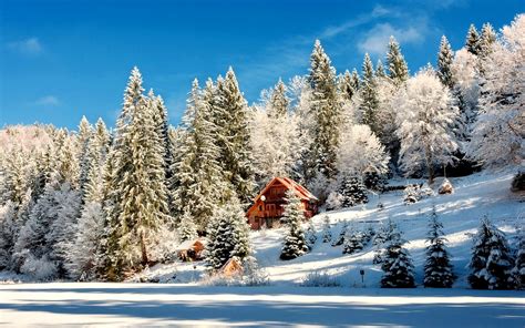 Download Tree Snow Winter Forest Man Made Cabin HD Wallpaper