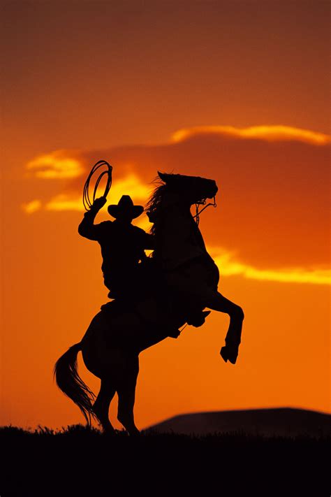 cowboys - Google Search | Cowboy pictures, Horse rearing, Horse silhouette