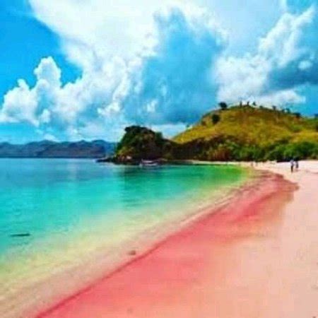 Pink Beach (Desa Sekotong Barat) - 2018 All You Need to Know BEFORE You ...