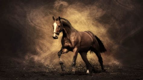 Horse Wallpapers | Best Wallpapers