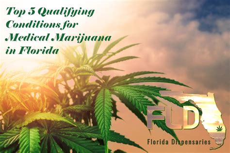 Top 5 Qualifying Conditions for Marijuana in Florida | Florida Dispensaries