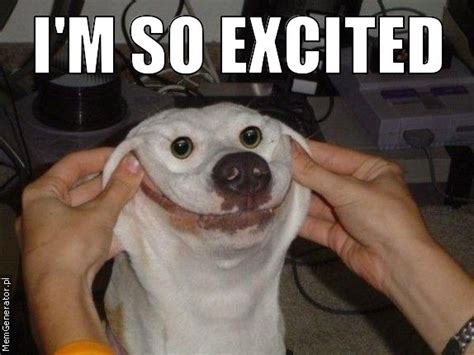 Image - I'm so excited (dog face).jpeg - Walking Dead Wiki - Wikia