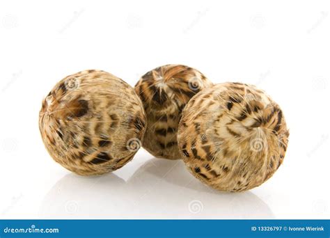 Bird balls stock image. Image of feathers, isolated, pattern - 13326797