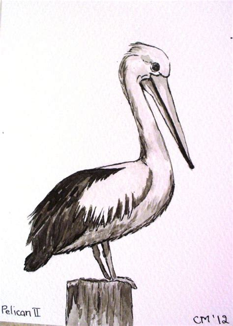 drawing of pelican on post - Google Search | Pelican art, Colorful oil painting, Pelican drawing