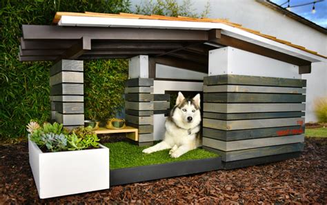 Pin by Yann Allaman on niche | Modern dog houses, Cool dog houses, Luxury dog house
