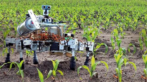 Agriculture Must Become More Efficient: Robots and Autonomou