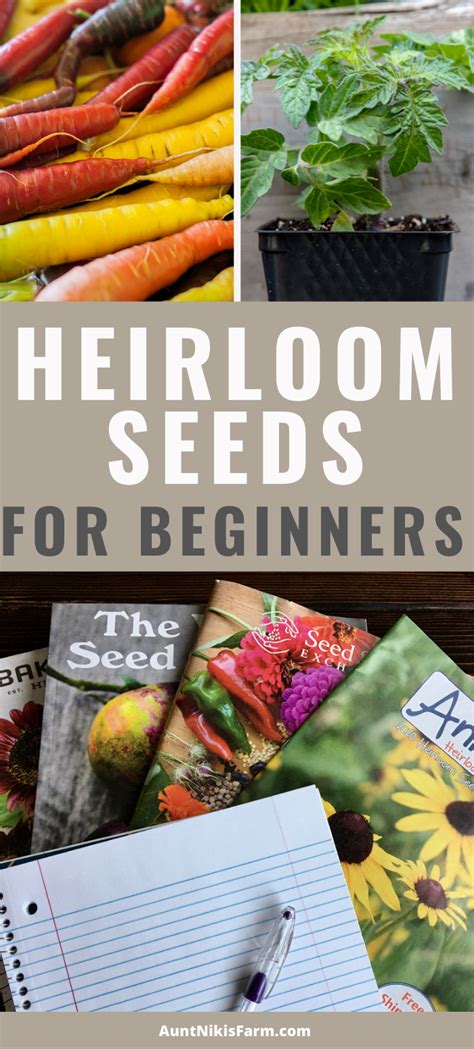 Heirloom Seeds for Beginners - Aunt Niki's Farm