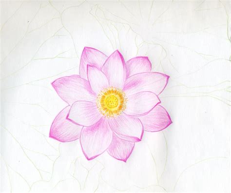 Lotus Flower Drawings Made Easy