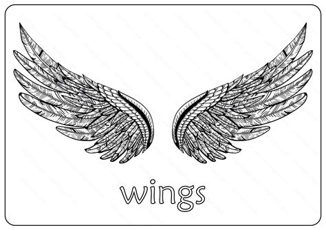 Free Printable Wings Coloring Pages