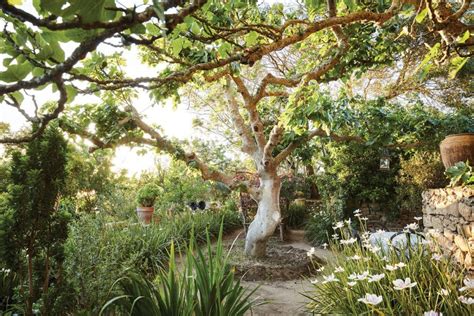 The Mystique of Morocco: Gardens, Homes, Style - Flower Magazine