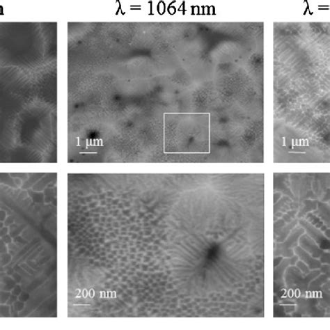 SEM photographs at low (marked area for magnification) and high ...