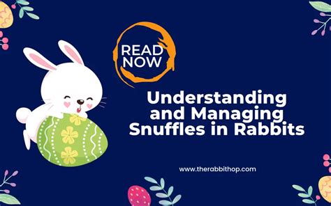 rabbit snuffles Archives - The Rabbit Hop