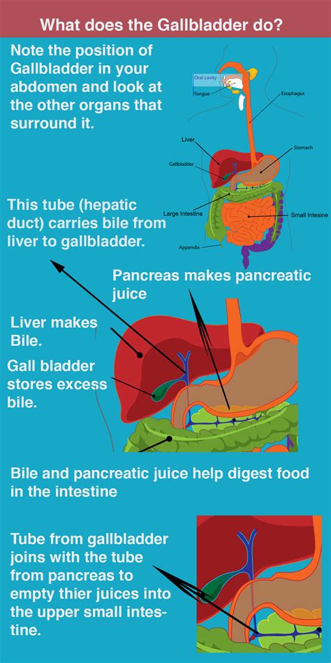 Gallbladder symptoms: Details with examples