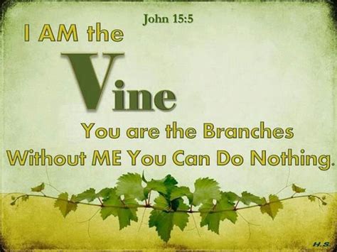 John 15:5-6 “I am the vine, you are the branches. He who abides in Me, and I in him, bears much ...