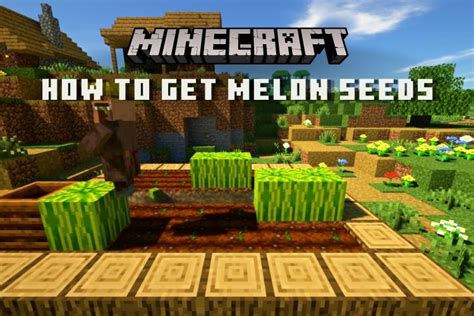 How to Get Melon Seeds in Minecraft in 2022 (Easy Guide) | Beebom