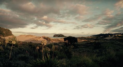 Explore Whangamatā | Accommodation & things to do | The Coromandel