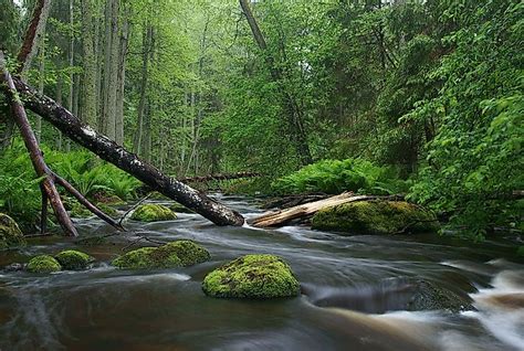 The Five Best National Parks Of Estonia - WorldAtlas.com