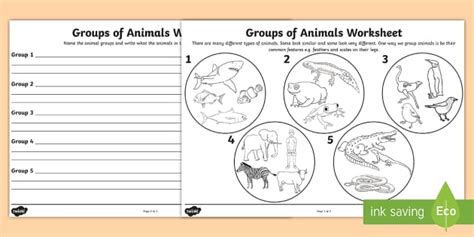 Animal Groups Worksheet - Animals Worksheet - Twinkl