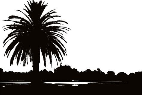 Palm Tree Sunset Drawing at PaintingValley.com | Explore collection of ...