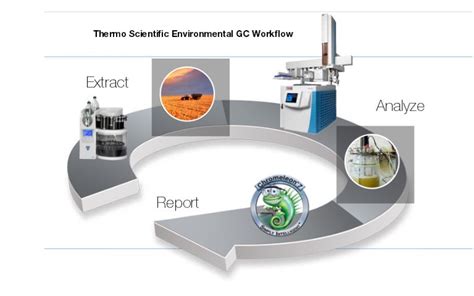 Comprehensive Environmental GC Workflow: Sample Preparation, Gas Chromatography, and Data Analysis