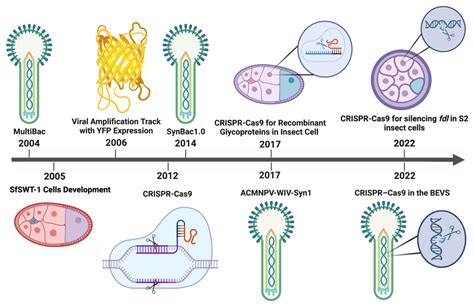 Viruses | Free Full-Text | Advances in CRISPR-Cas9 for the Baculovirus Vector System: A ...